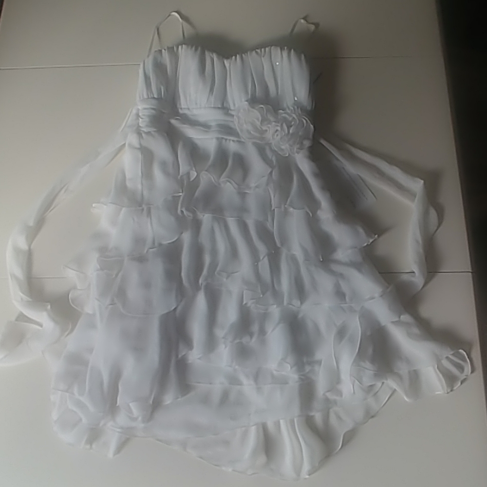 Lovely Dress from Davids Bridal